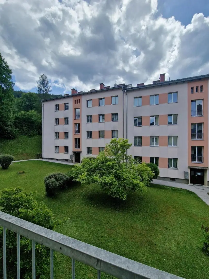 Gemeinschaftsgarten