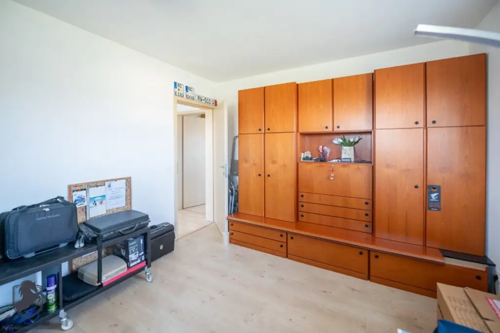 Exklusives Niedrigenergie-Einfamilienhaus mit Vollkeller auf 1.008 m² Grundstück in ruhiger Bestlage von Pixendorf