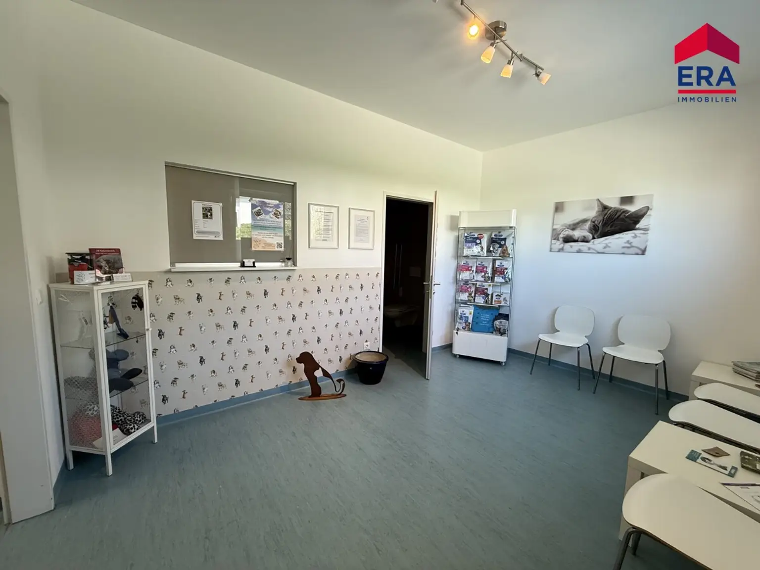 Moderne Praxisfläche mit vielfältigen Nutzungsmöglichkeiten im Zentrum von Bad Pirawarth