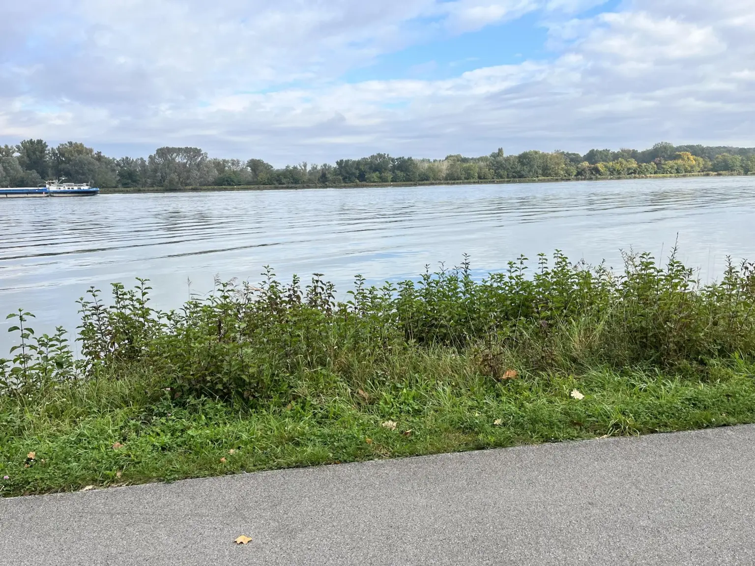 OPEN HOUSE "TULLN! Idyllisches Einfamilienhaus mitten im Grünen auf großem Grundstück"