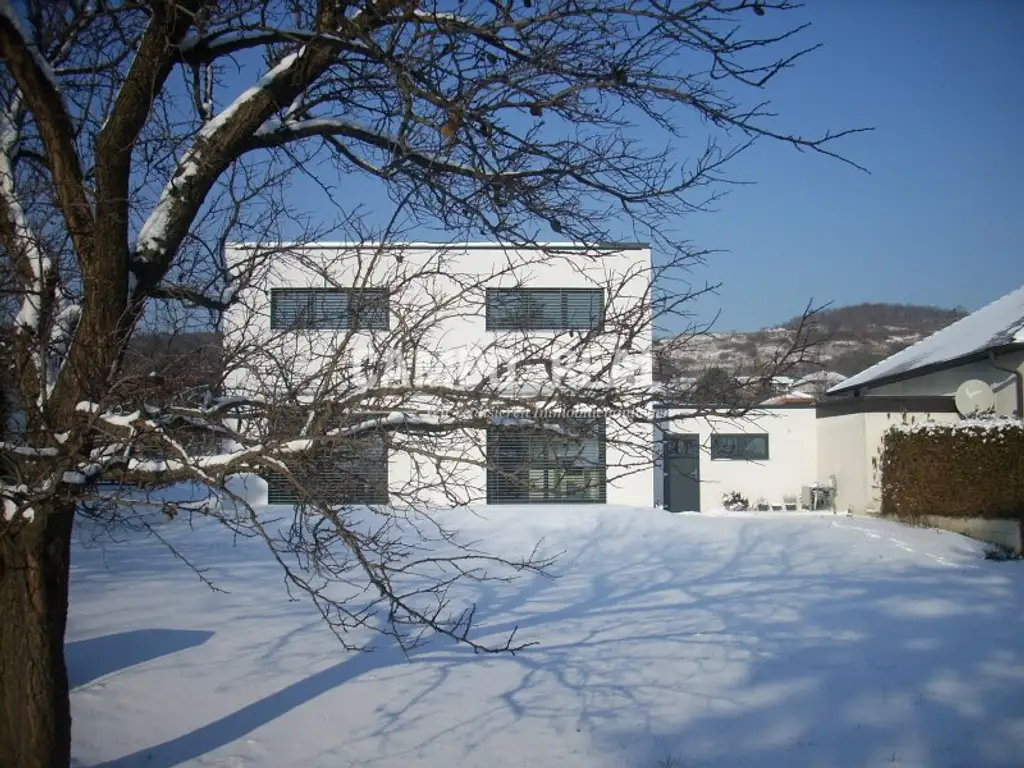 CAMPO-STADTHAUS: Modernes Architektenhaus