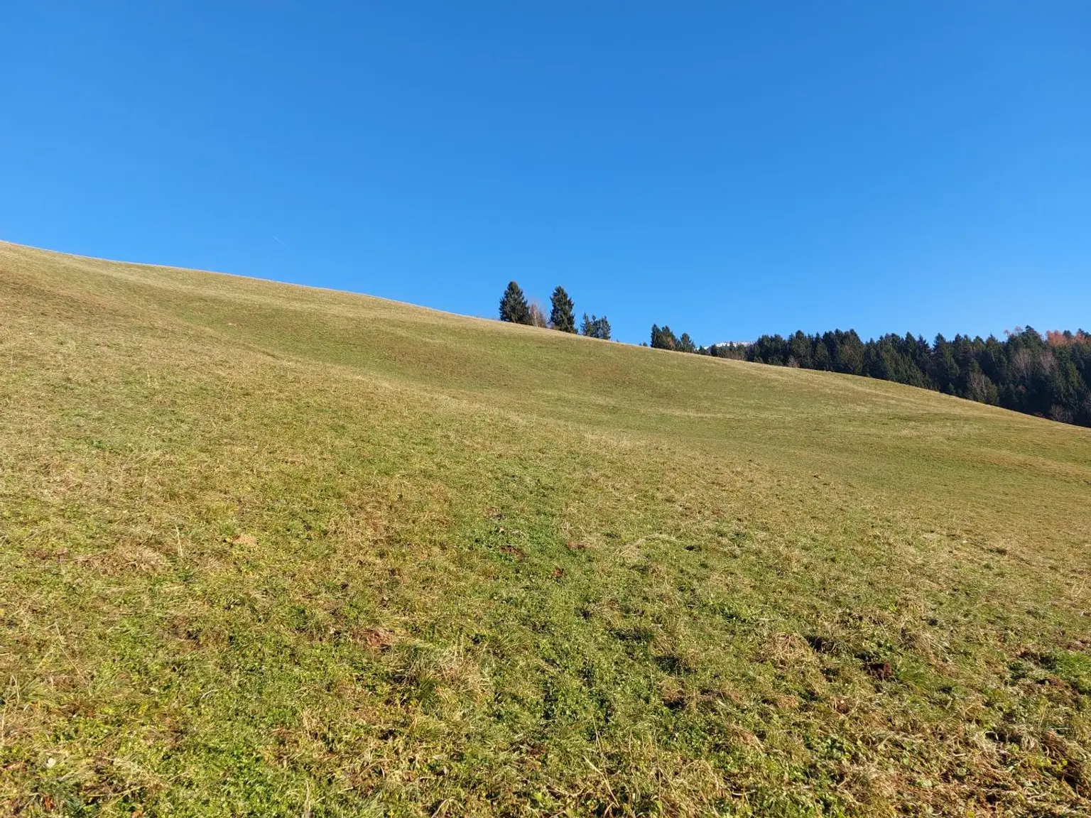 Ausblick Richtung Mirnock
