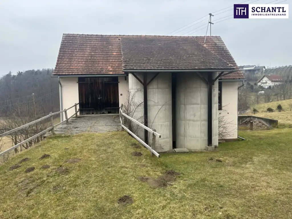 ++ SELTENE GELEGENHEIT ++ GENIAL für PFERDEHALTUNG ++ BAUERNHOF mit ca. 7 HA Landwirtschaftlicher Fläche und Wald ++ NEBENGEBÄUDE++ NÄHE GRAZ++