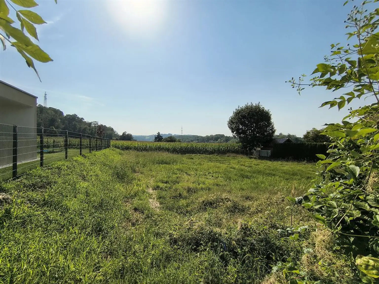 3313 Wallsee/Nähe Donau: Sonniges Baugrundstück in sehr guter, ruhiger Lage