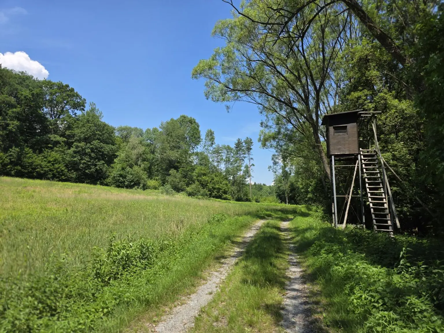 Grundansicht mit Zufahrtsweg