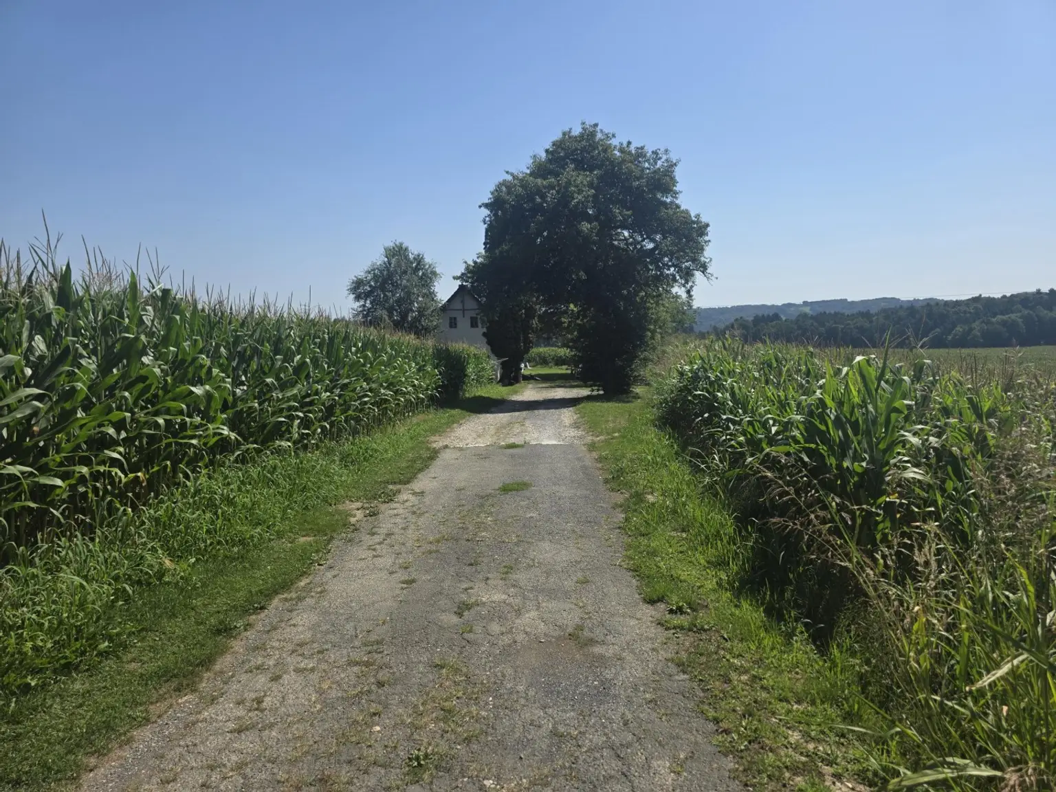 Bauernhaus (stark sanierungsbedürftig) mit viel Grund und kleinem Teich