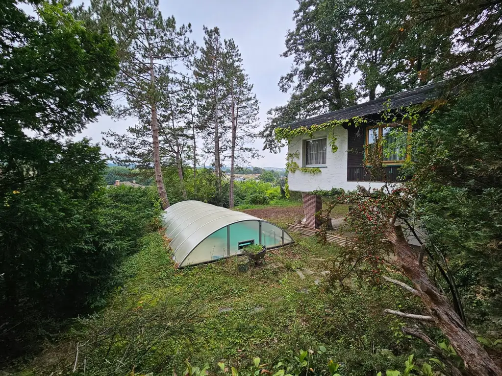 Haus im schönen Pellendorf (Bez. Mistelbach)