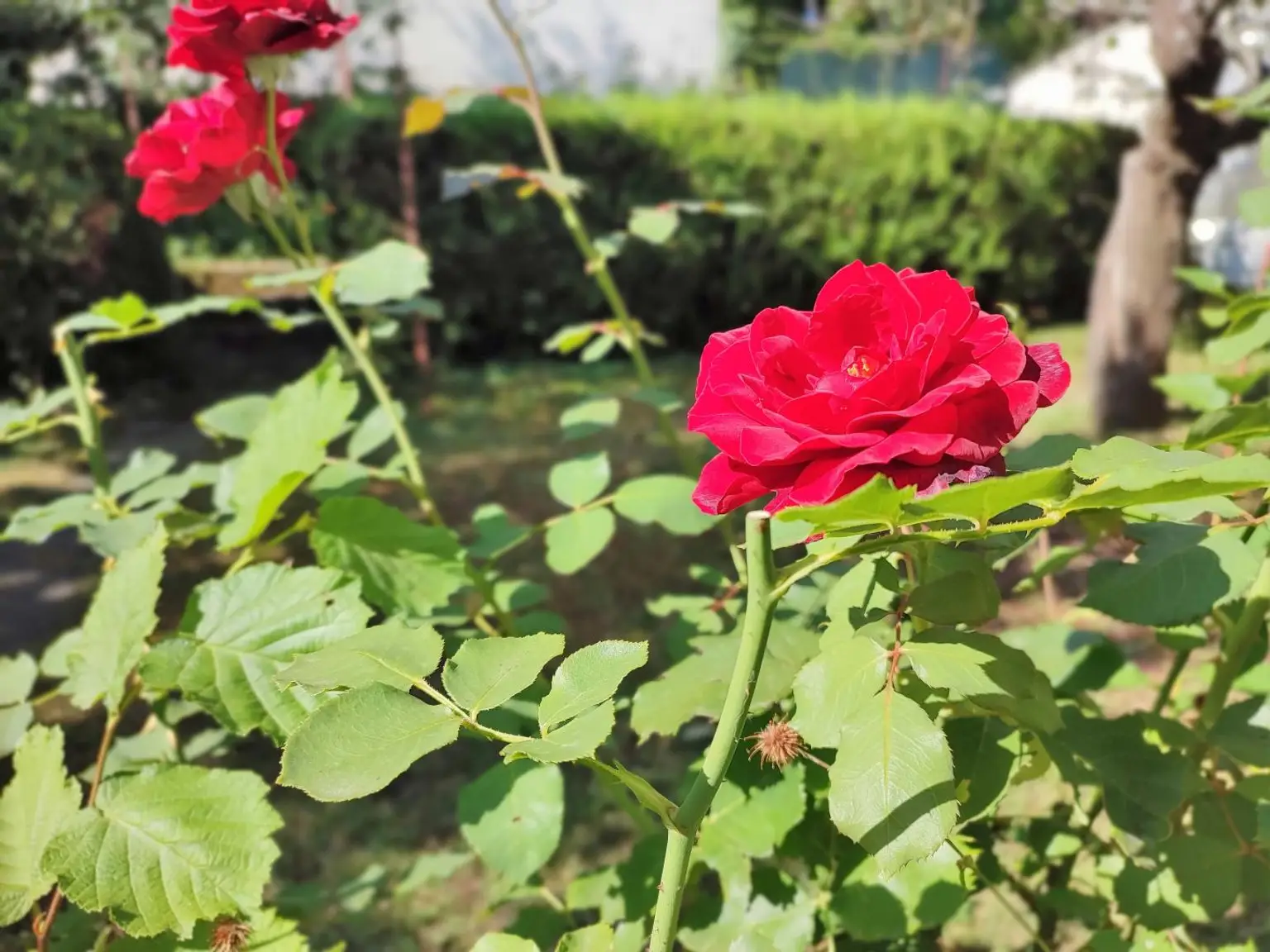 Impressionen