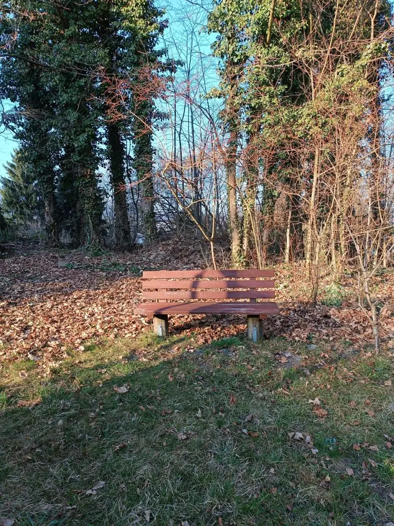 Gartenbank im eigenem Garten