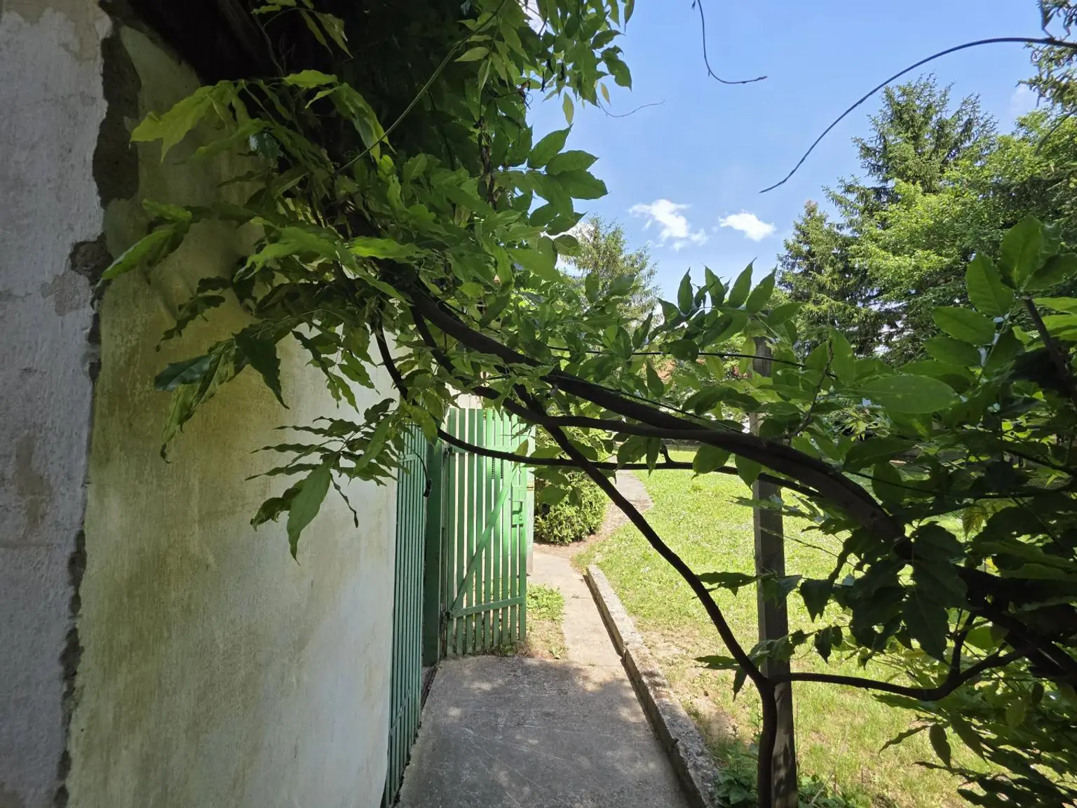 Garten (6)