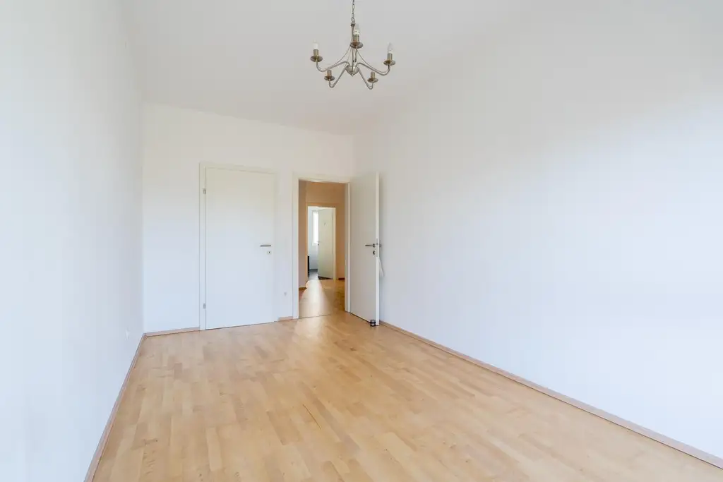 "Where the Alte Donau Becomes Home"