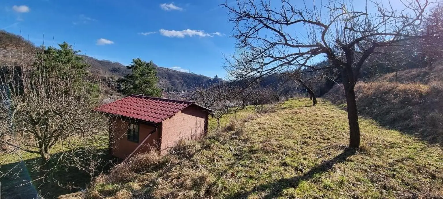 RARITÄT IN SENFTENBERG - GELEGENHEIT AUF EINEN WEINKELLER MIT SCHÖNEM KELLERGEBÄUDE, KELLERRÖHRE SOWIE GARTENHAUS AUF HERRLICHEM TEILWEISE ALS BAULAND GEWIDMETEN GRUNDSTÜCK