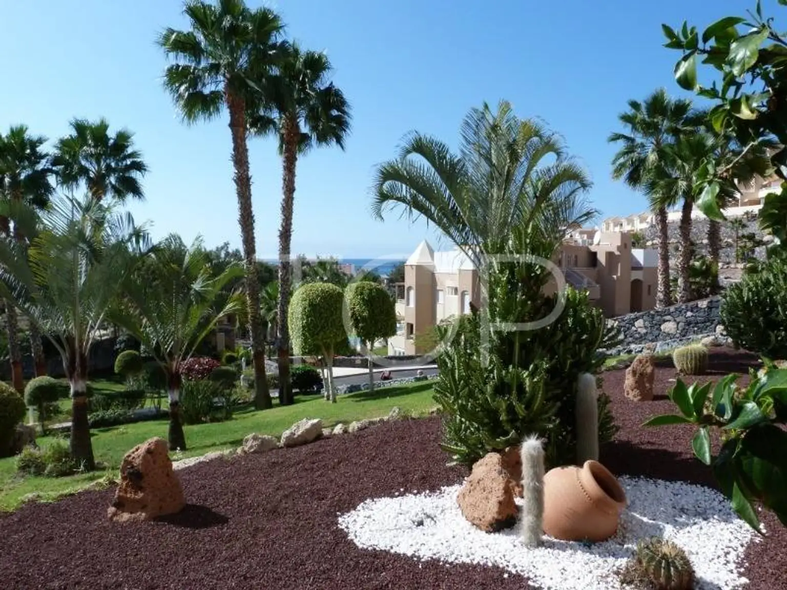 Oasis-La-Caleta-Green-Areas-Tenerife-4