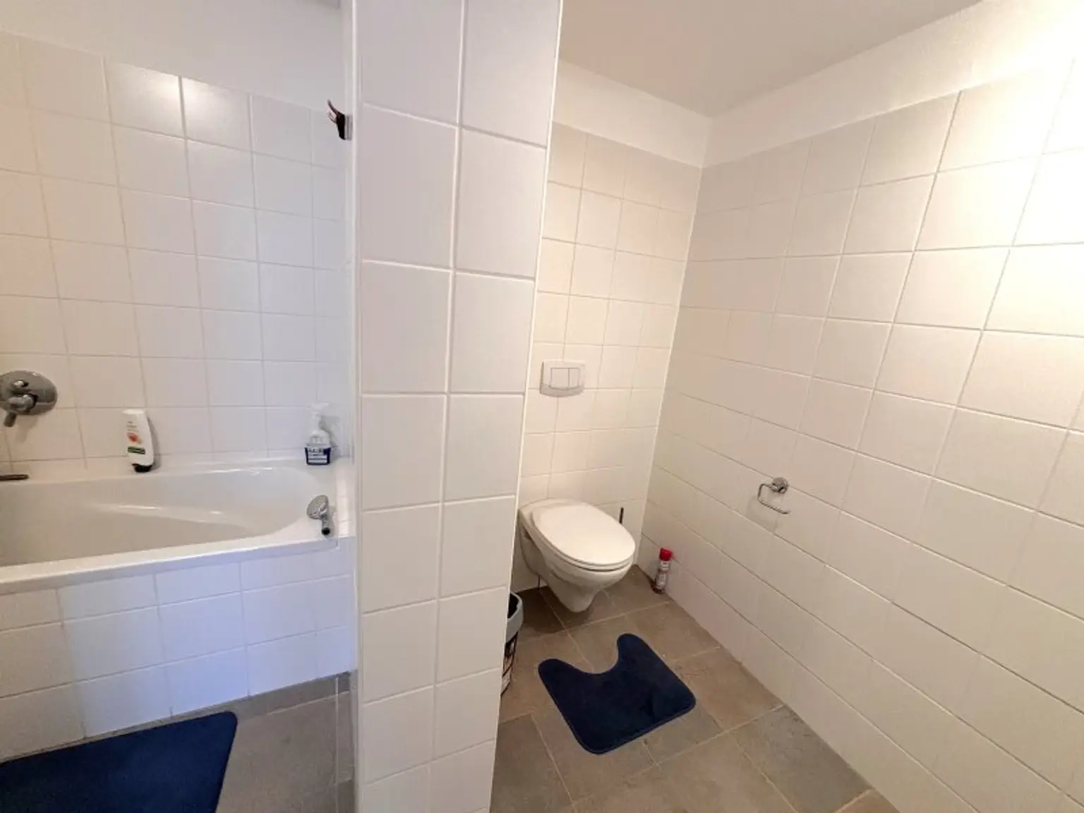 Exklusive Innenstadtwohnung mit Dachterrasse & Klimaanlage – Blick auf den Pöstlingberg