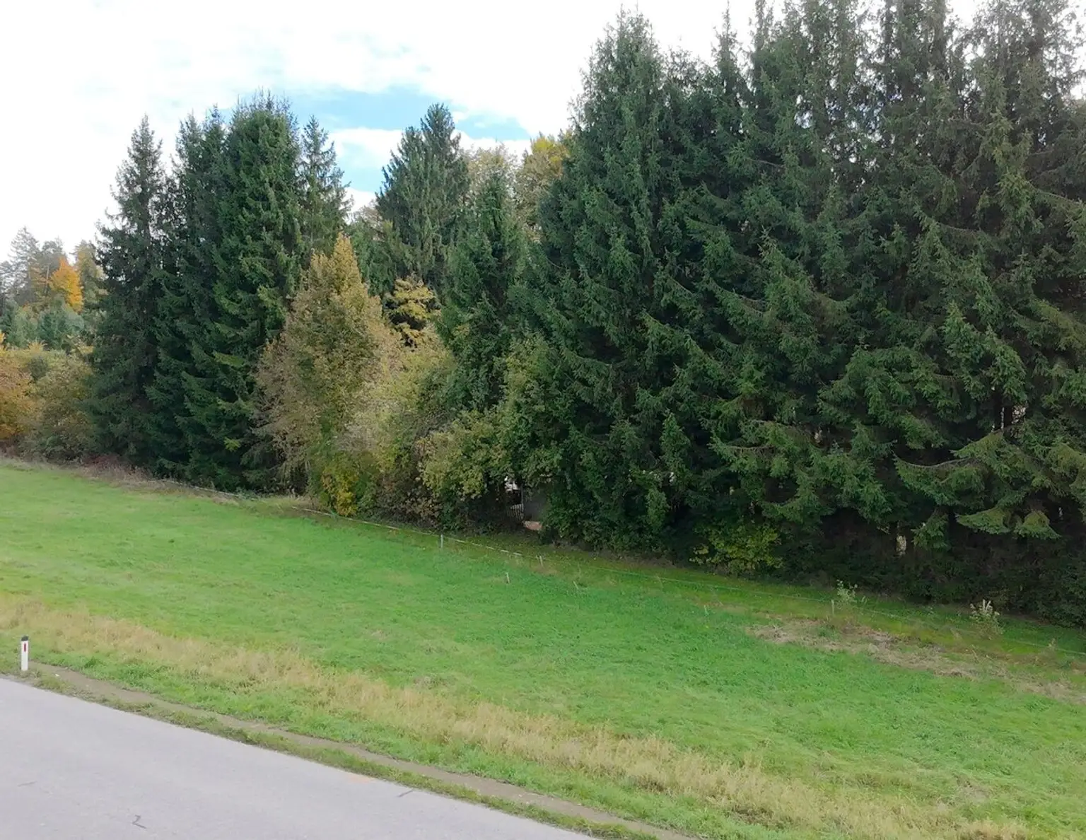 Attraktives Baugrundstück- groß, eben und vielseitig nutzbar