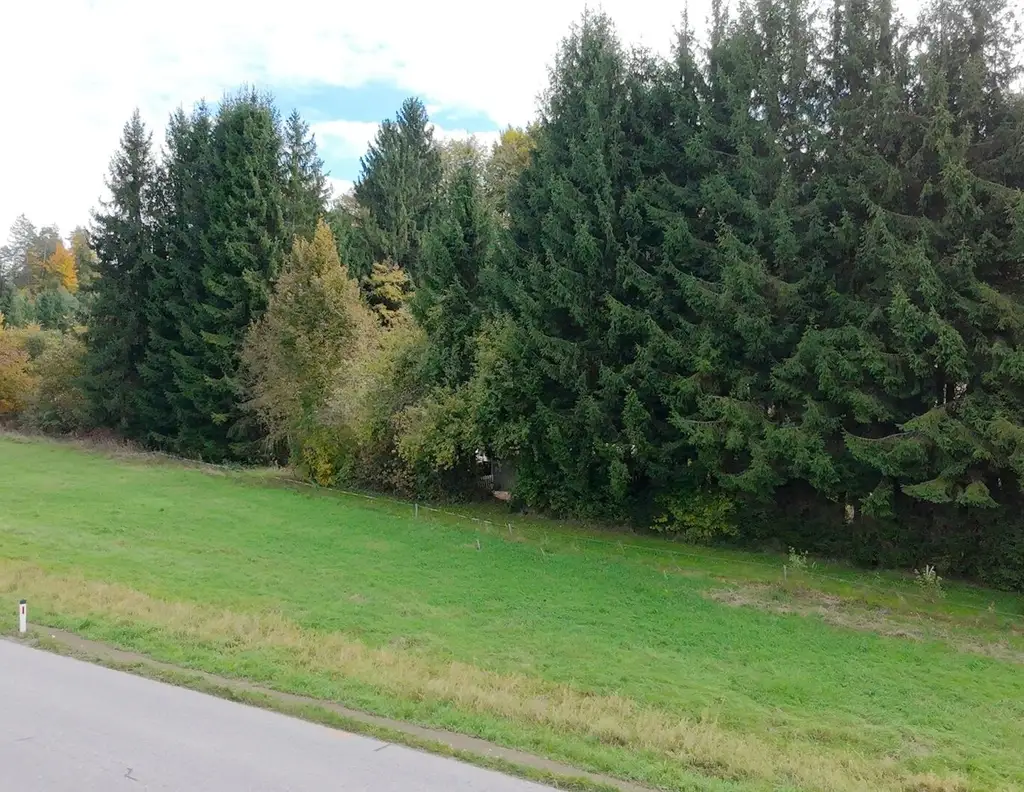 Attraktives Baugrundstück- groß, eben und vielseitig nutzbar