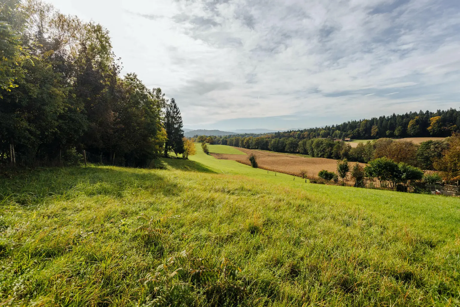 Baugrund mit altem Gebäude und Bauerwartungsland mit Weganteil im Zentrum von Hengsberg