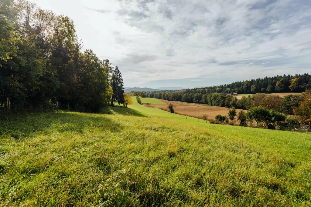 Baugrund mit altem Gebäude und Bauerwartungsland mit Weganteil im Zentrum von Hengsberg