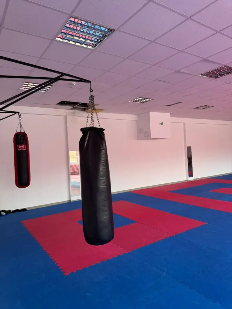 Renditestarkes Einkaufszentrum in Top-Innenstadtlage von Westungarn