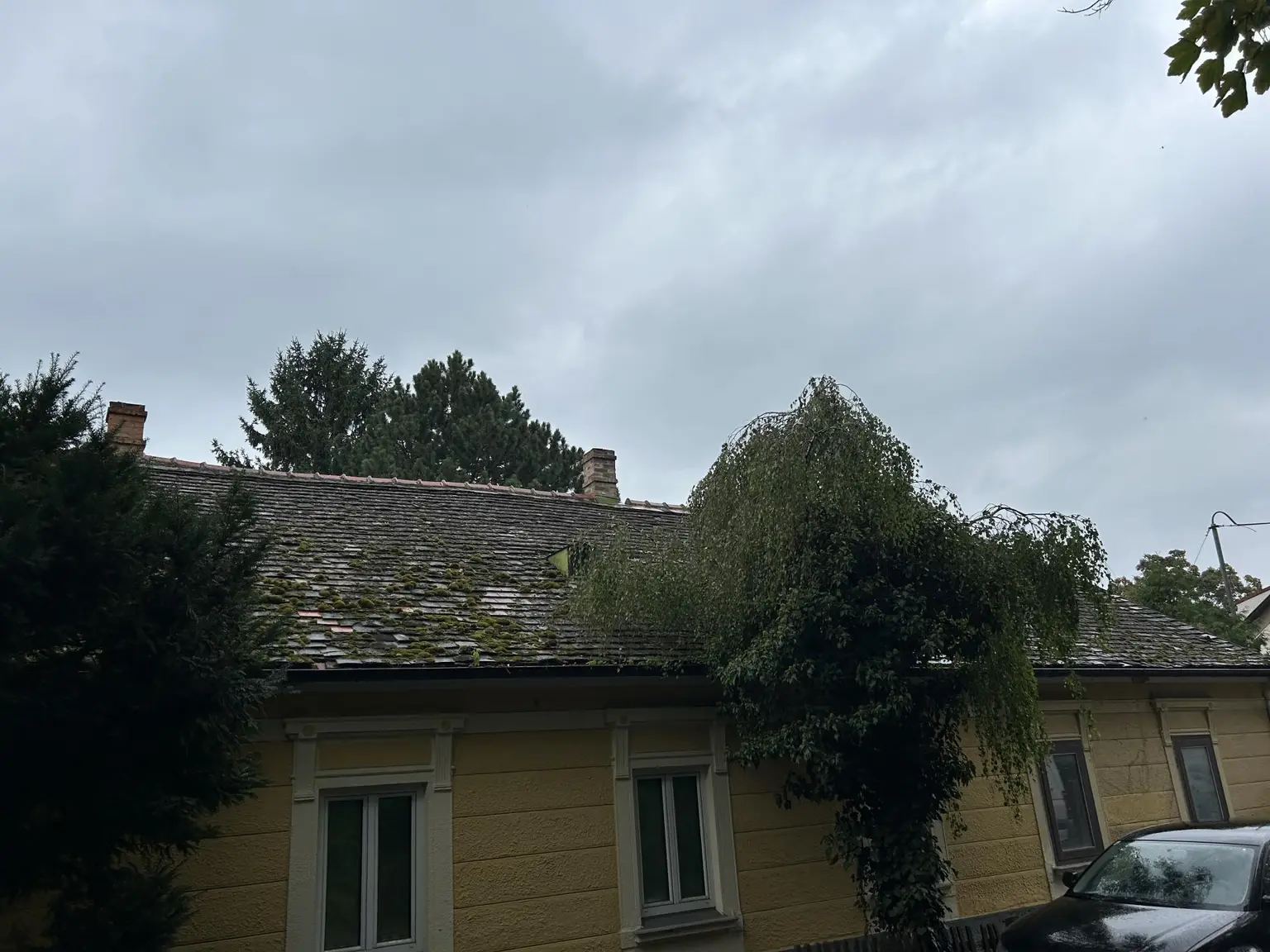 Exklusives Grundstück in Langenzersdorf mit Altbestand