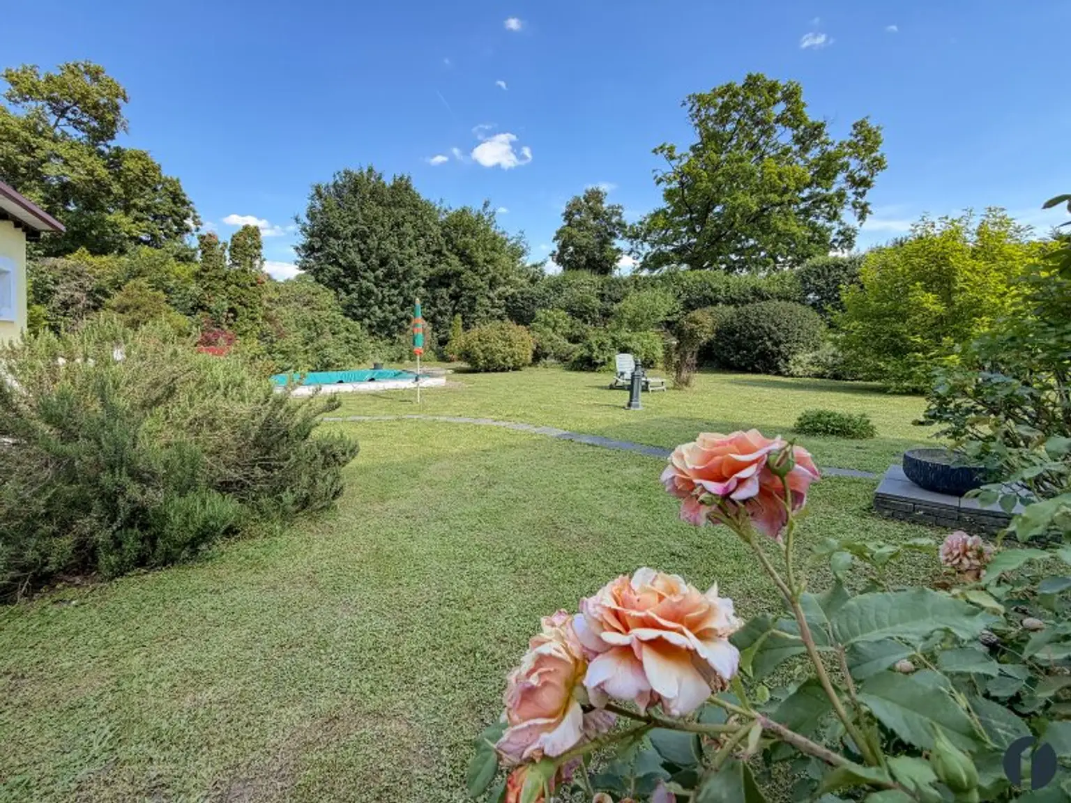Ein Haus zum Wohnungspreis: viel Platz, Garten und Pool inklusive
