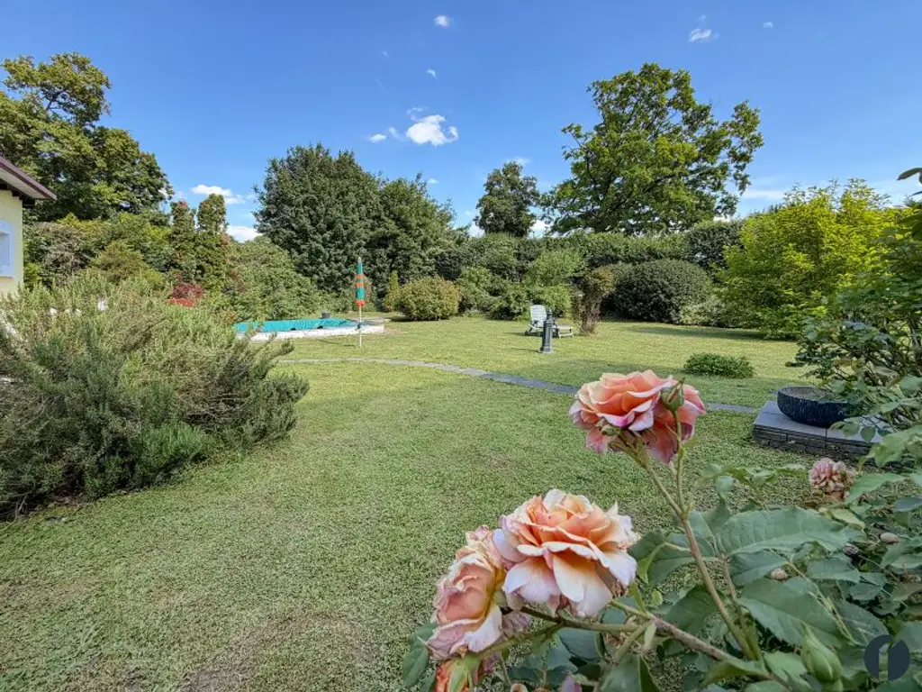 Ein Haus zum Wohnungspreis: viel Platz, Garten und Pool inklusive