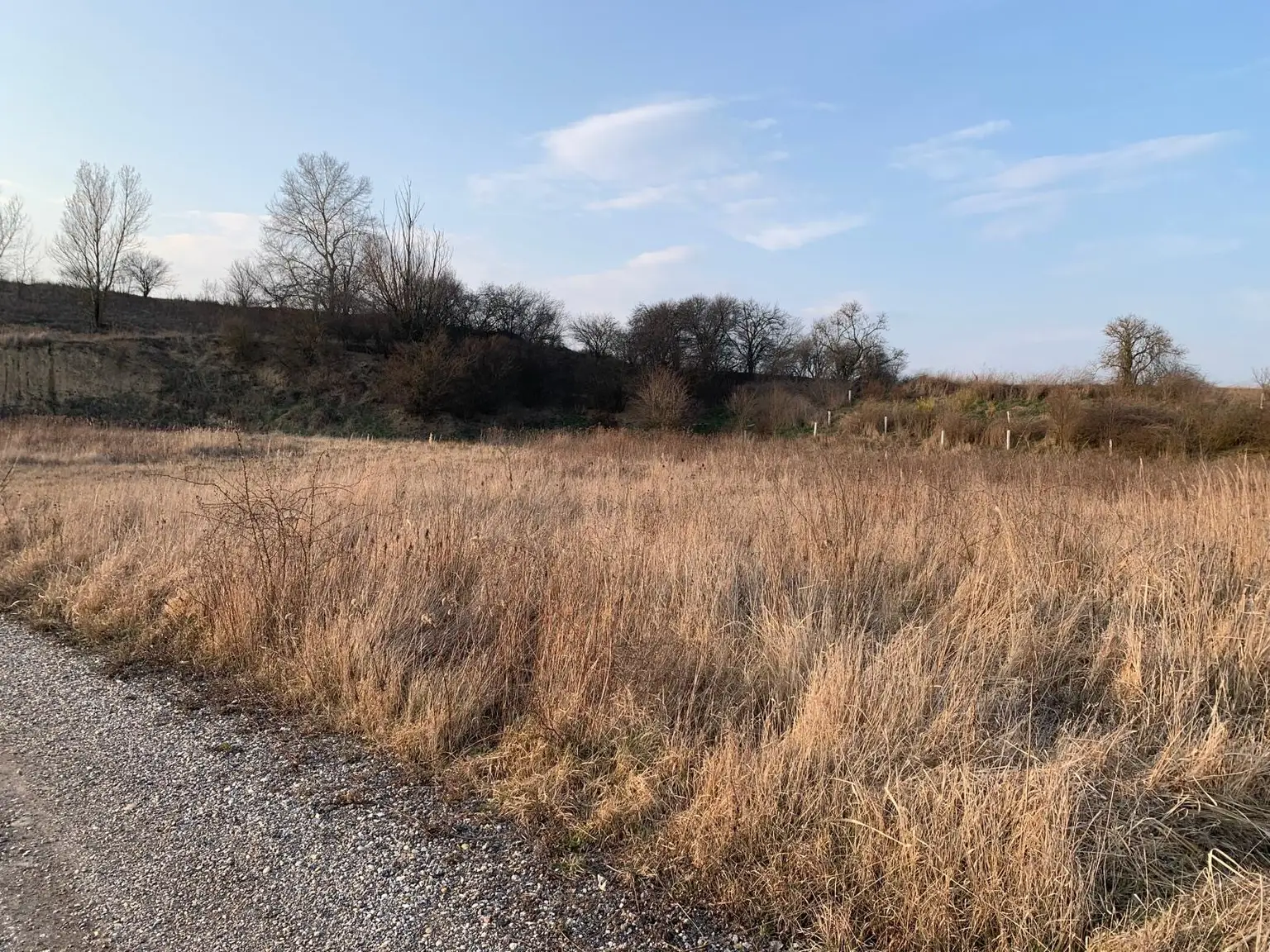 INDUSTRIEGRUNDSTÜCK - 40 Minuten vor Wien