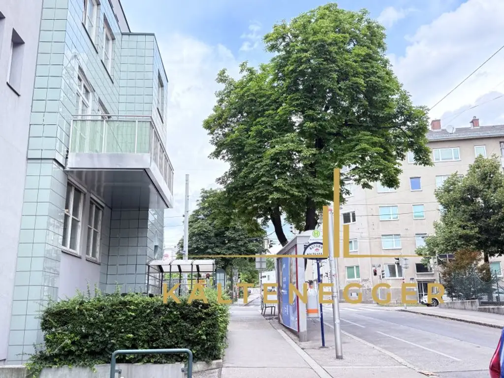 Erstbezug nach Sanierung: Tolle 4-Zimmer Wohnung mit großem Balkon, TG-Platz anmietbar