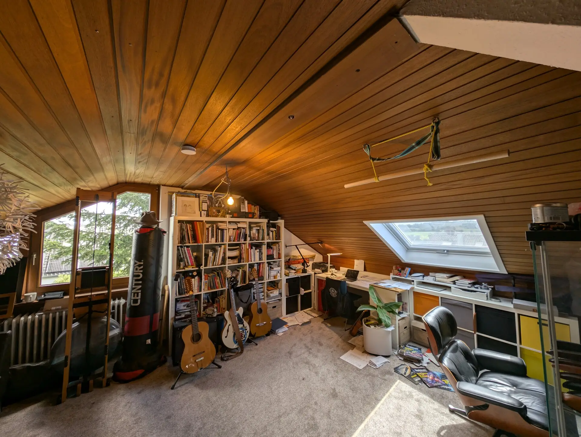 DG Studio