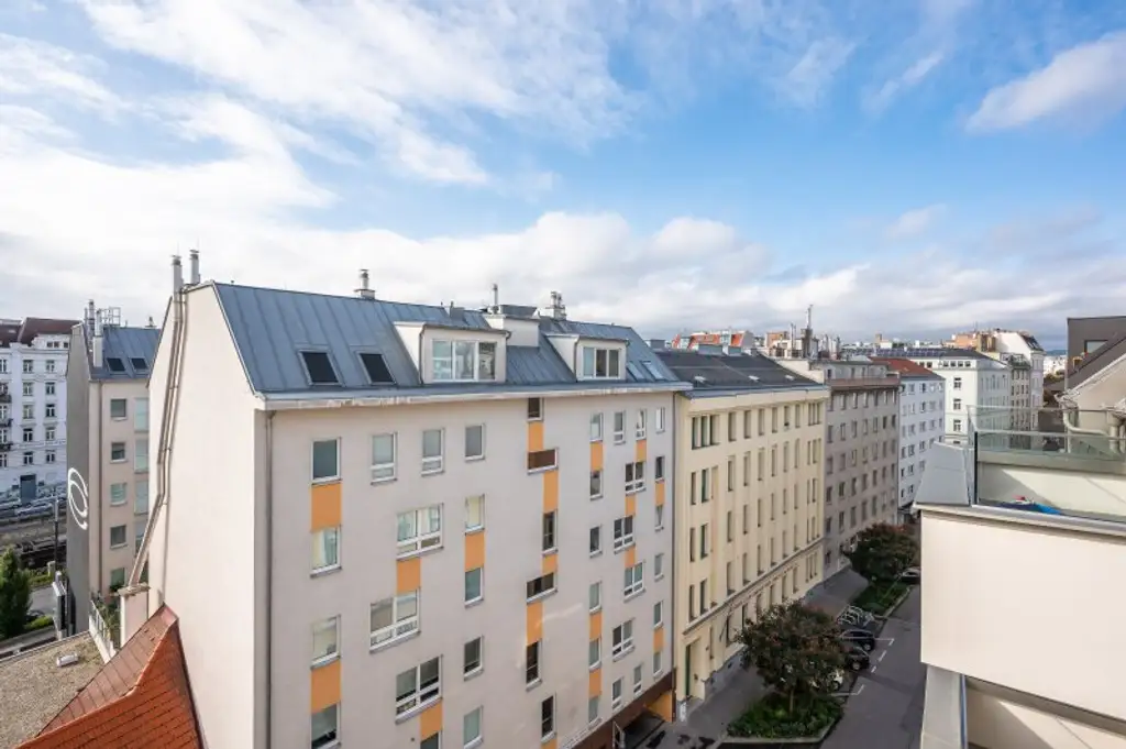 ++MOLLARD 50++ außergewöhnliche 3-Zimmer-Wohnung mitten im Herzen der Stadt (1/24)