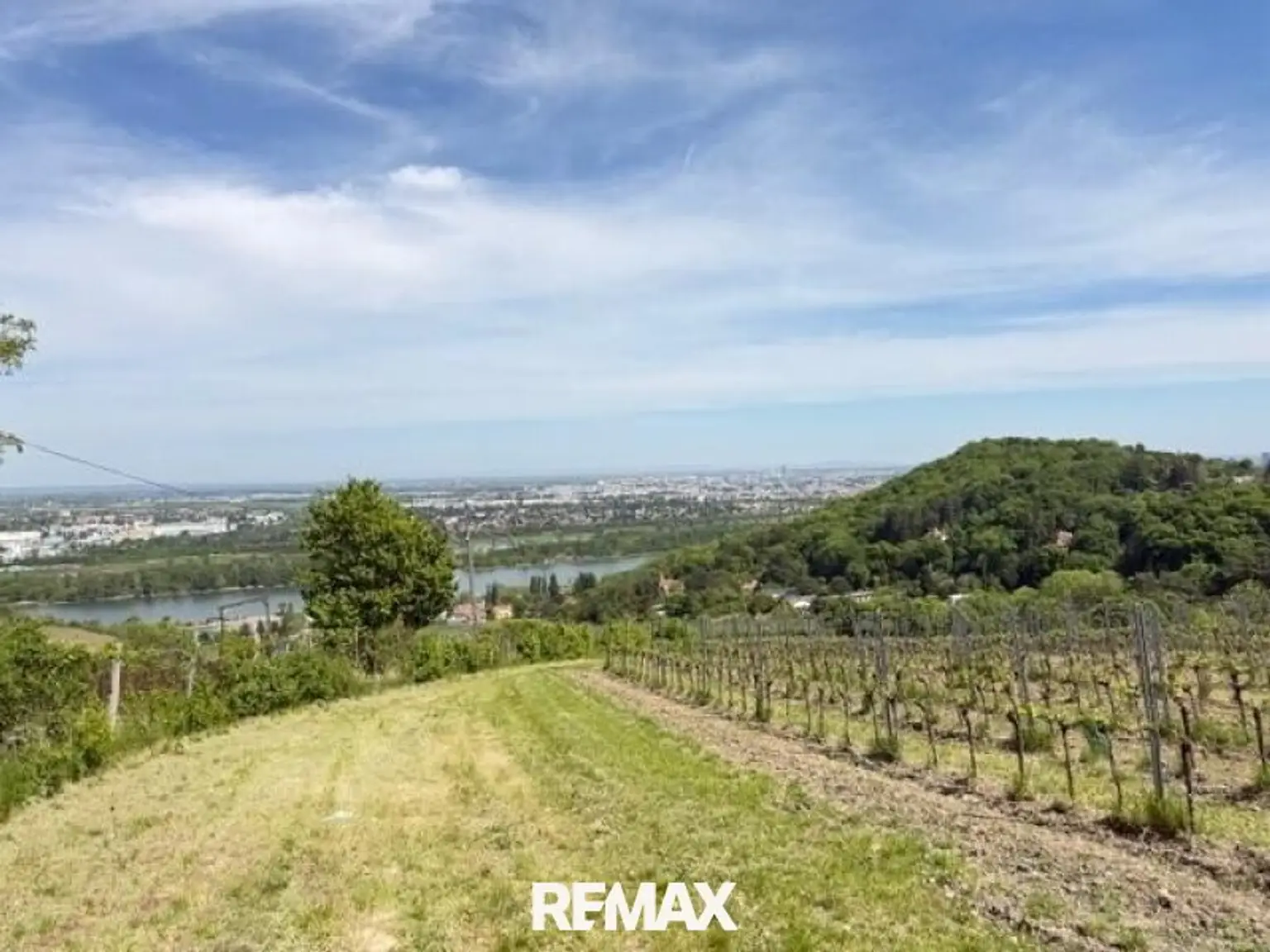 ETW 1190 Döbling - Aussicht