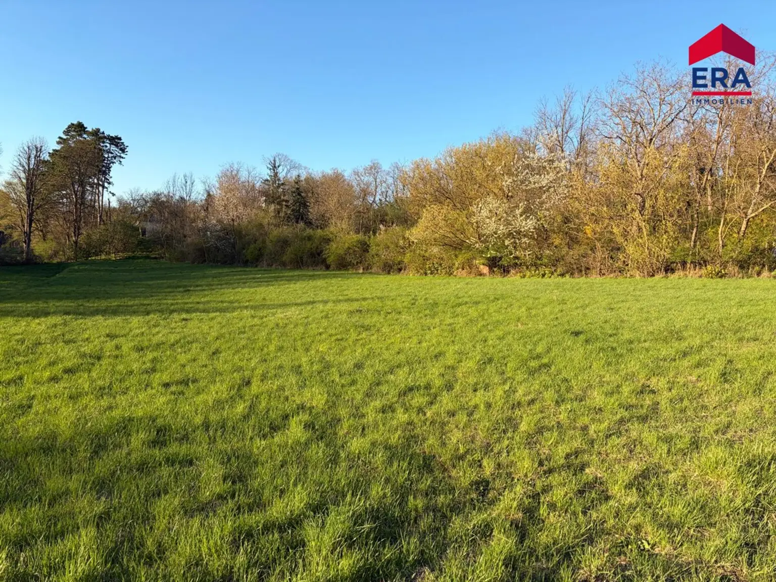 Exklusives Freizeitgrundstück in absoluter Grünruhelage – Natur, Weite & vielfältiges Potenzial in Gaweinstal