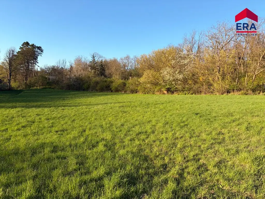 Exklusives Freizeitgrundstück in absoluter Grünruhelage – Natur, Weite & vielfältiges Potenzial in Gaweinstal