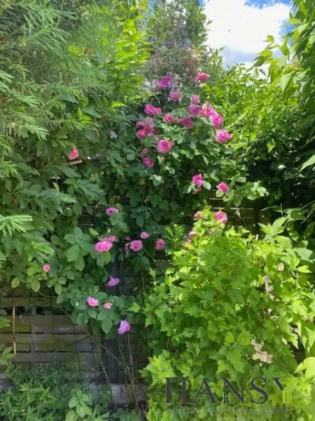 Neuwertiges Traum-Einfamilienhaus in Pfaffstätten: Stil, Pool und Gartenparadies!