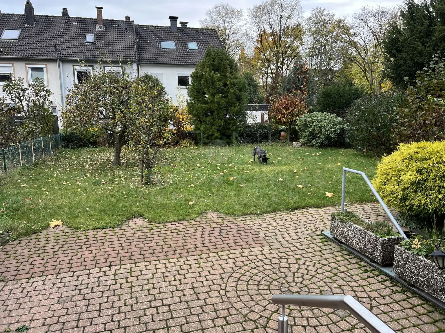 Blick in den Garten