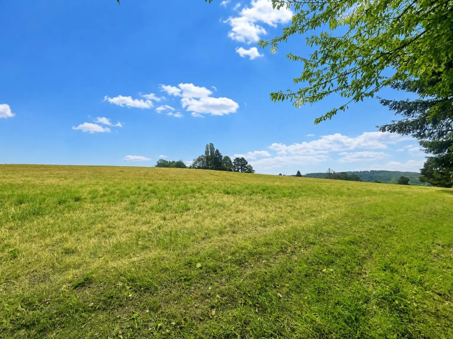 03 Aussicht - Felder hinter dem Grundstück