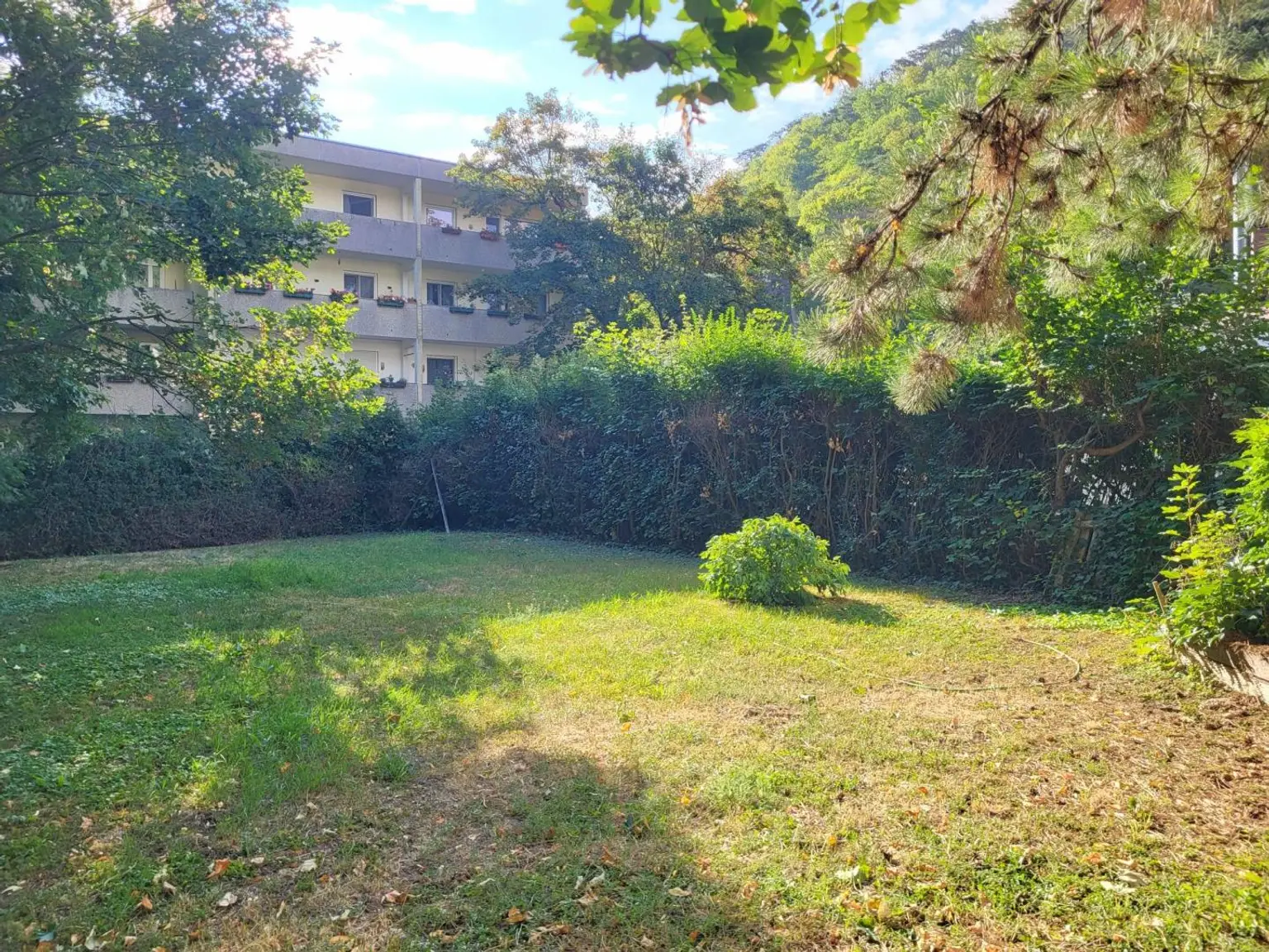 Geräumige Wohnung mit Gemeinschaftsgarten