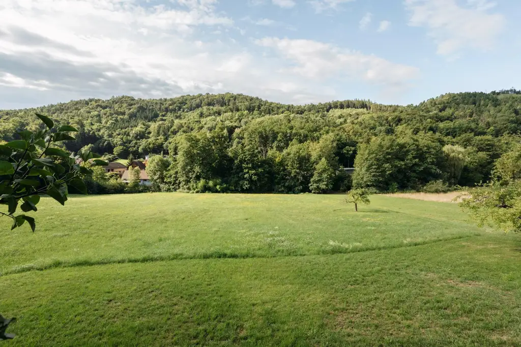 8054 Strassgang - Idyllische Liegenschaft zum Bauen, Pflanzen, Leben mit ca. 5000 m² und Altbestand in ruhiger Sackgassenlage