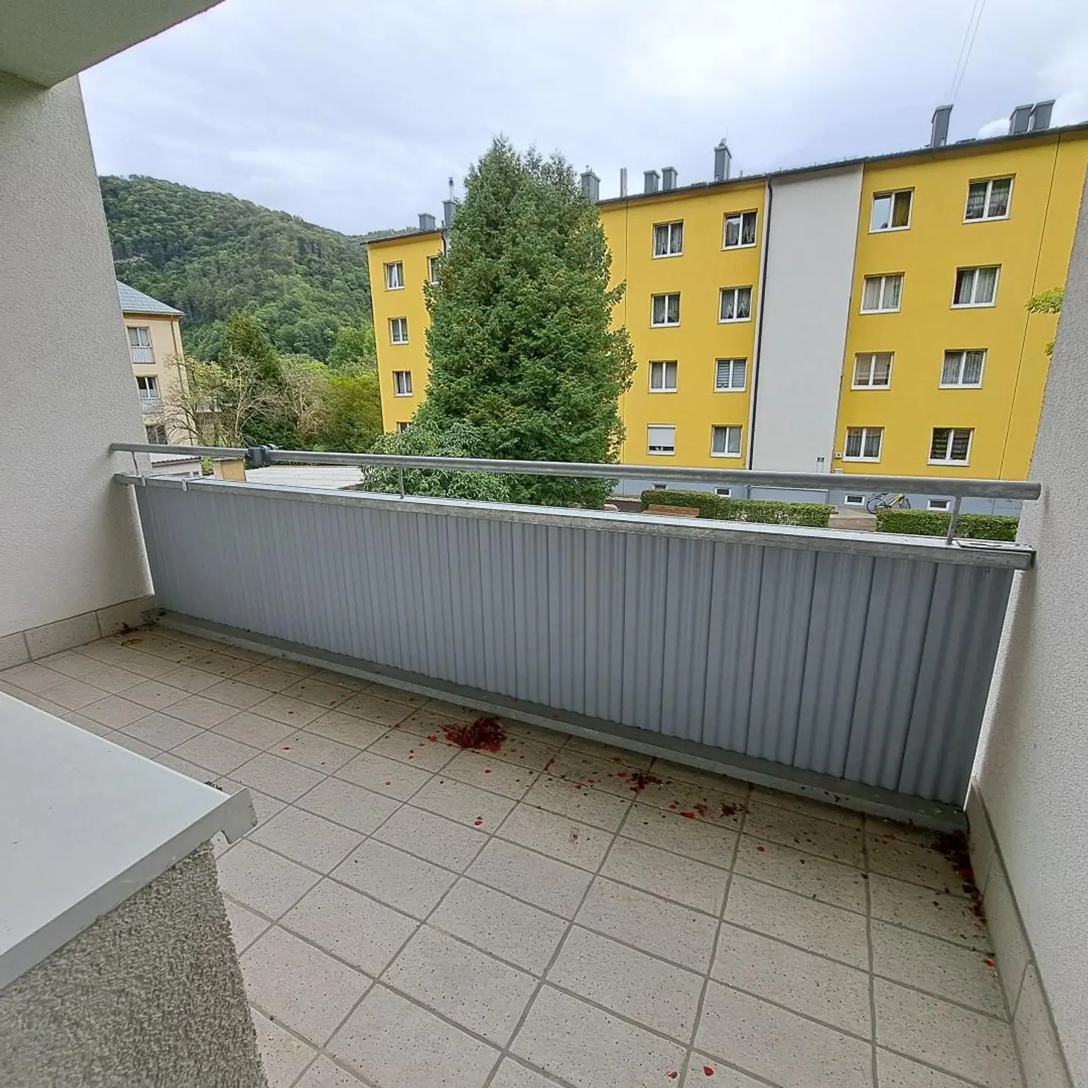 PROVISIONSFREI! Auf die Plätze, fertig & Loswohnen