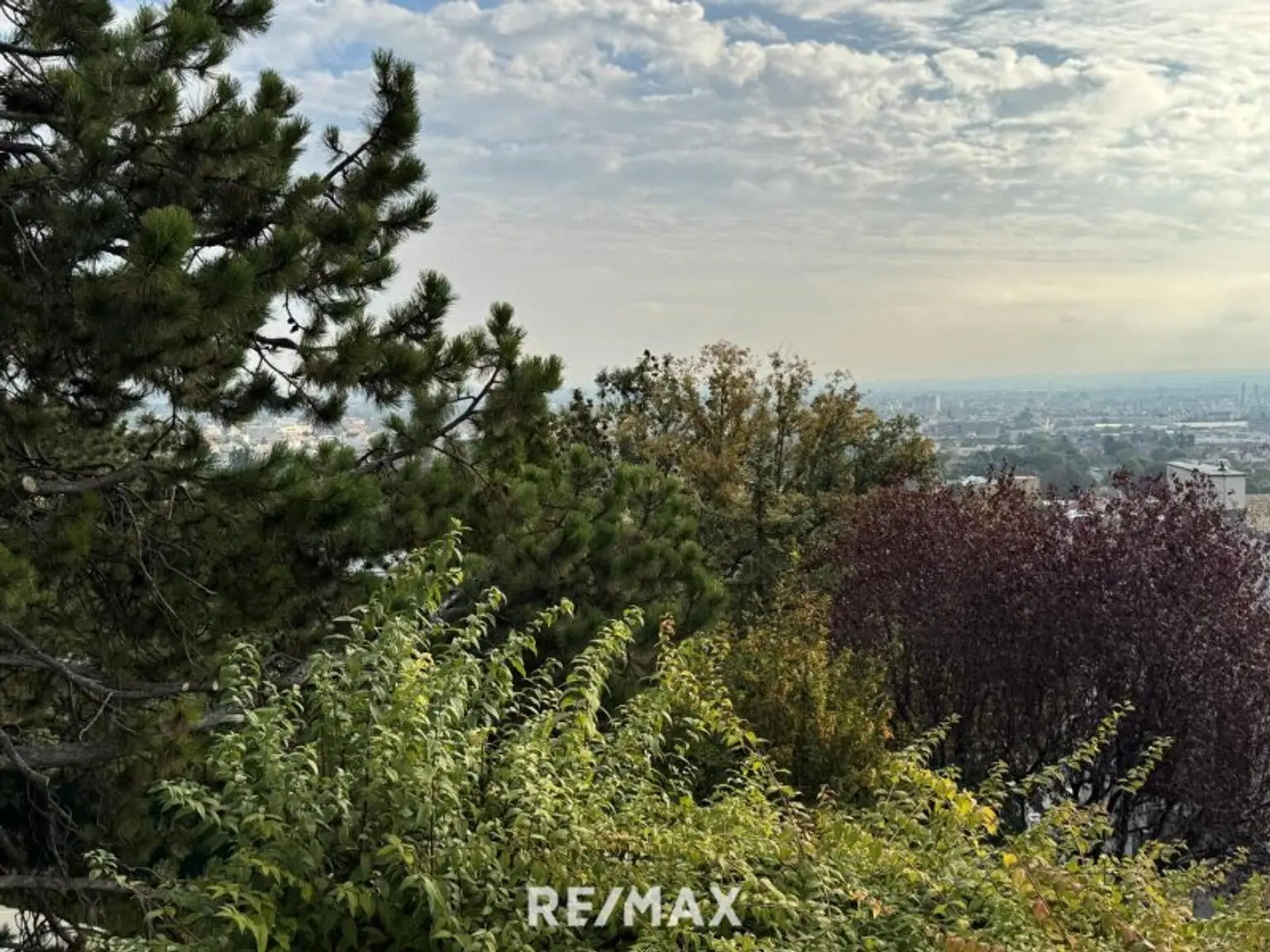 Ausblick Wohnzimmer 2