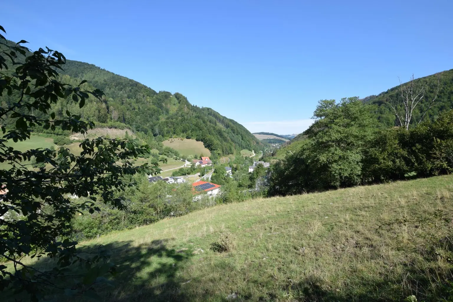 Panoramablick