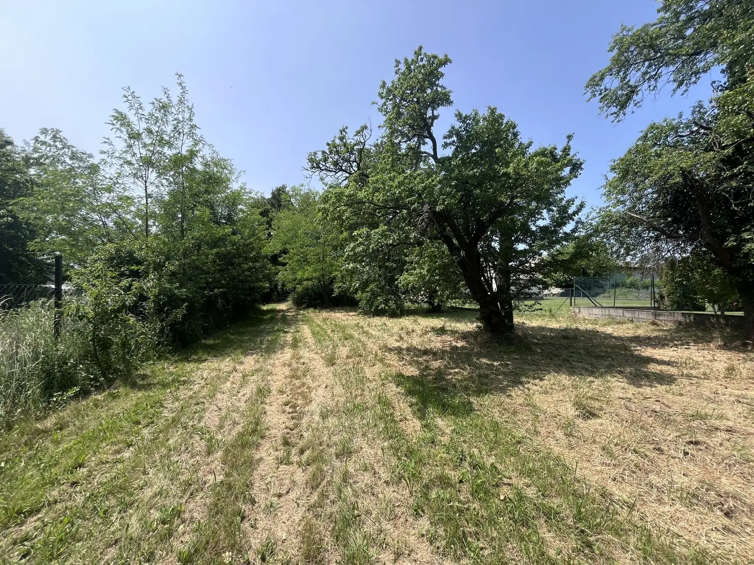 Grundstück mit Altbestand