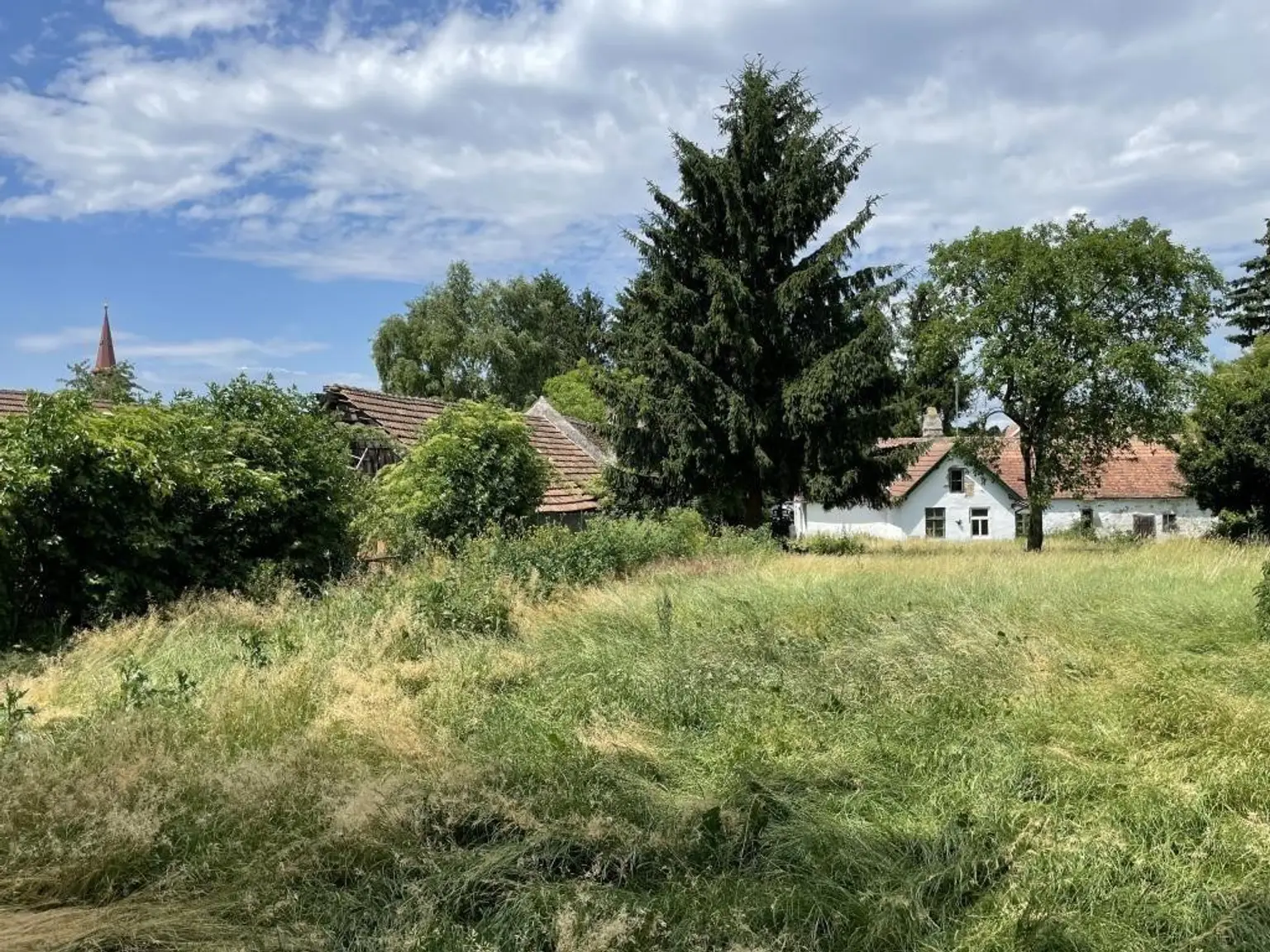 03 Baugrundstück Ollern