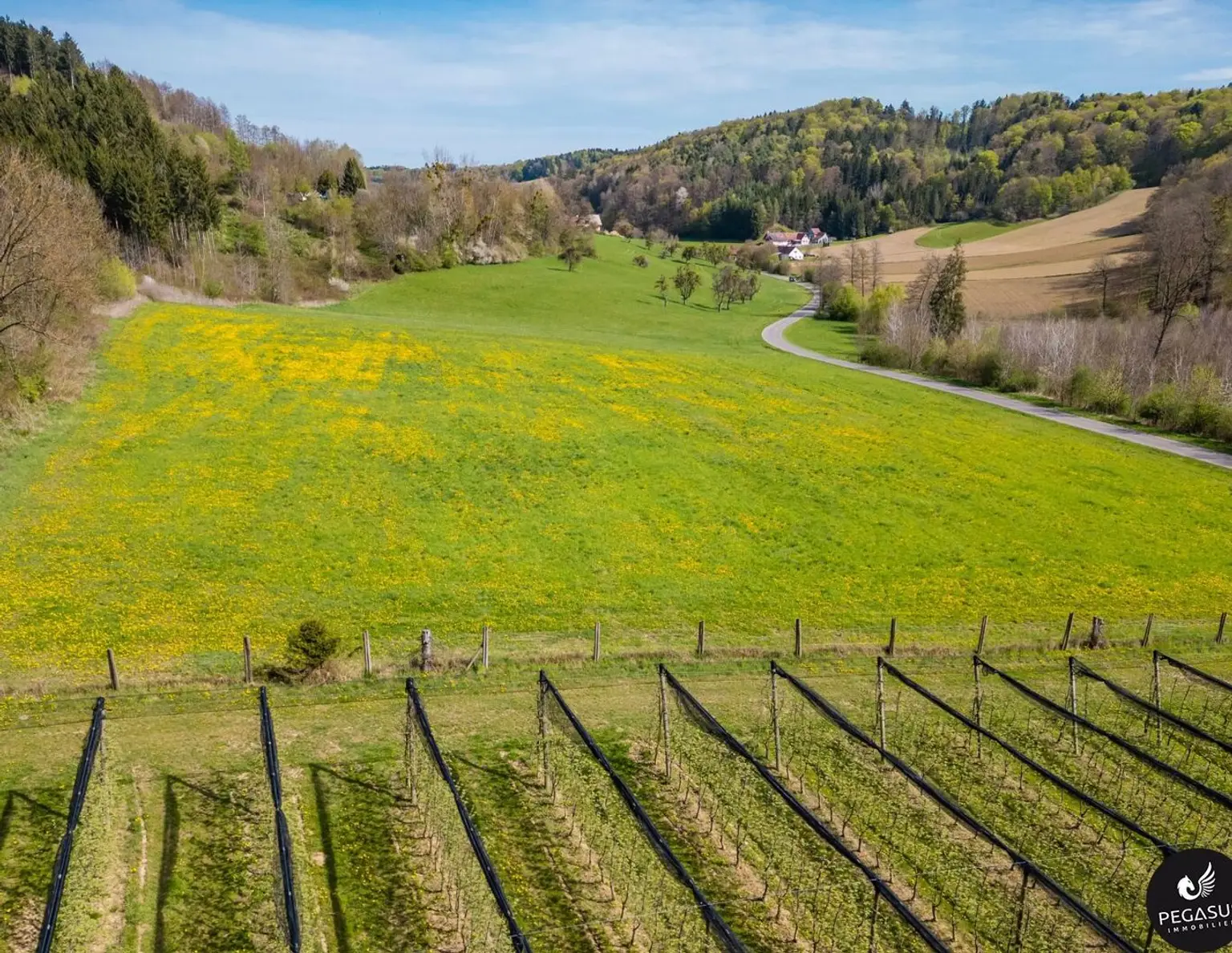 Nähe Feldbach - Grundstück mit Sonderwidmung Reitsport