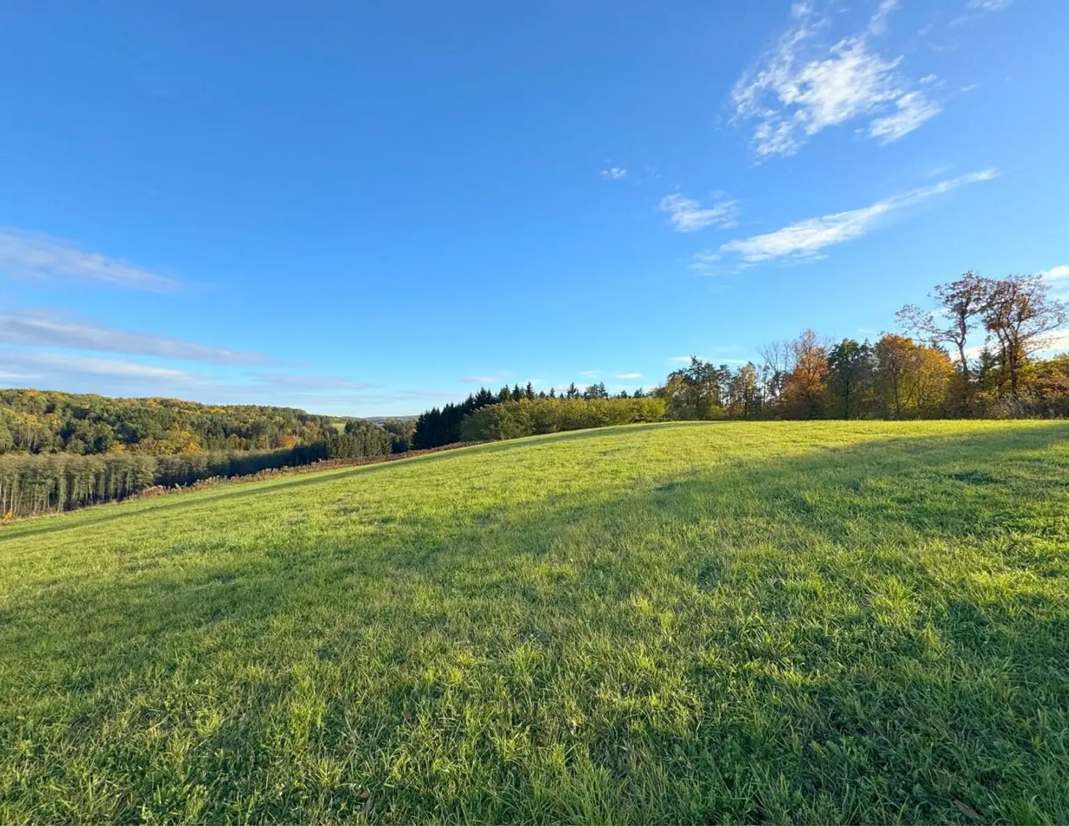 Sonniger Baugrund in STEGERSBACH mit genug Grünland und Wald