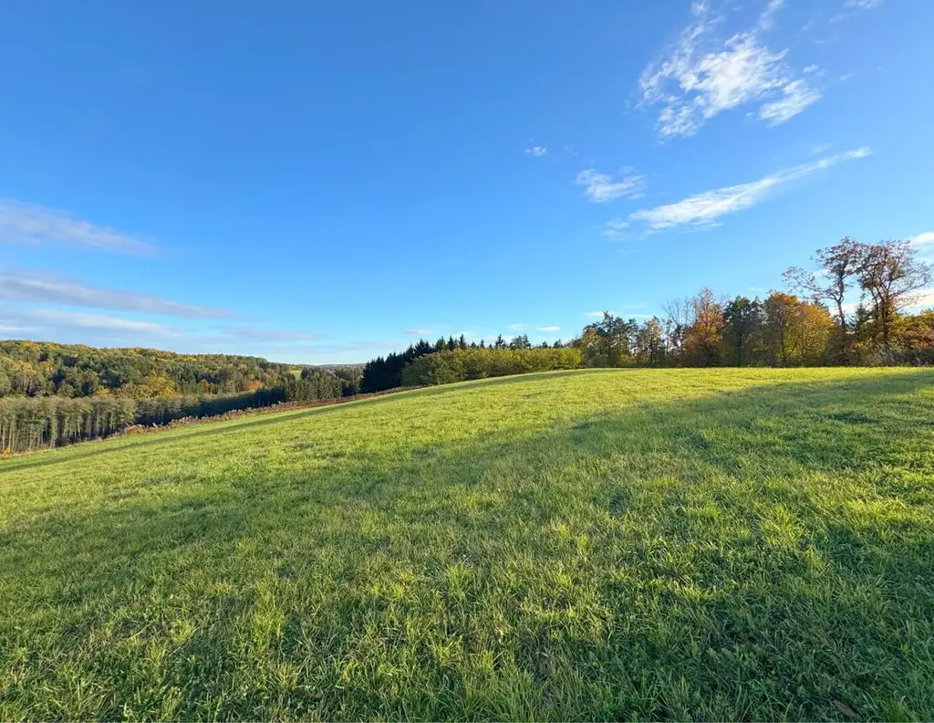 Sonniger Baugrund in STEGERSBACH mit genug Grünland und Wald