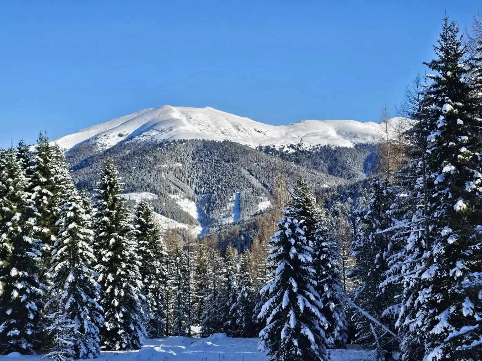 Natur, Abenteuer & Luxus vereint! – CHALET SLEEPY BEAR - Sofort Ski-In & Ski-Out