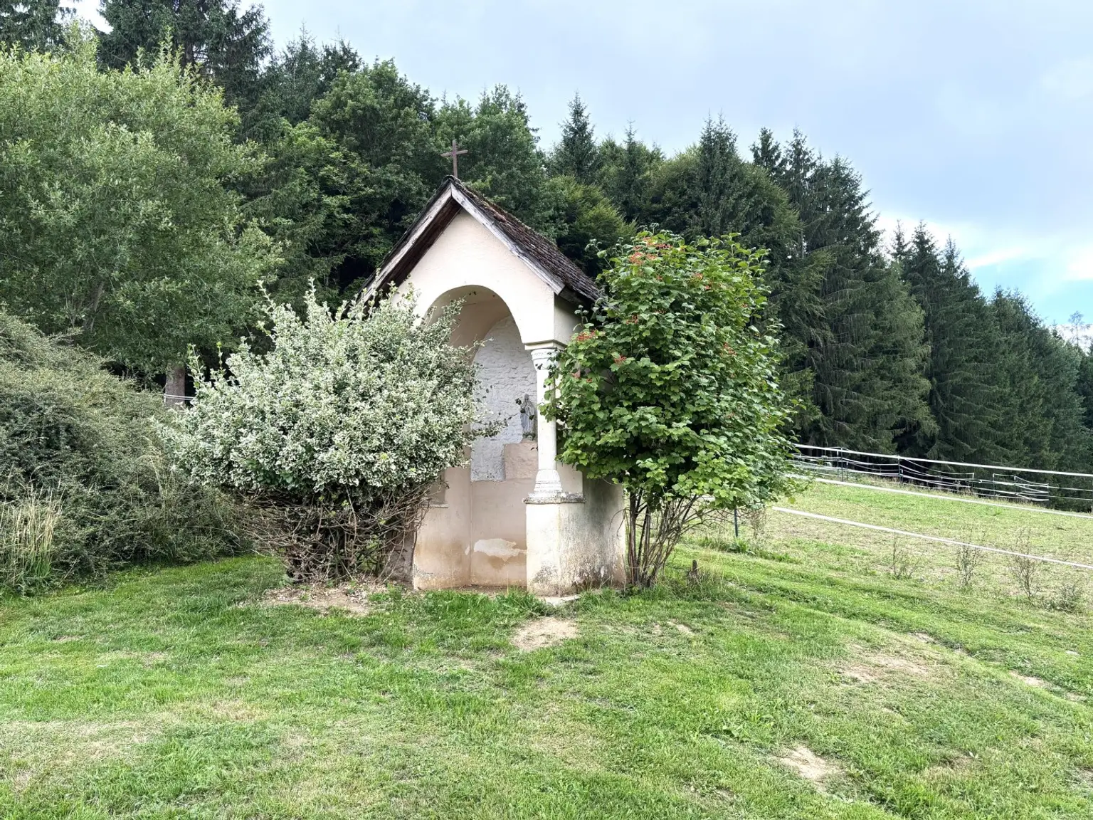 KLEINLANDWIRTSCHAFTLICHES JUWEL! CA.10 HEKTAR WALD! WIESEN! BETRIEBSFLÄCHEN!
