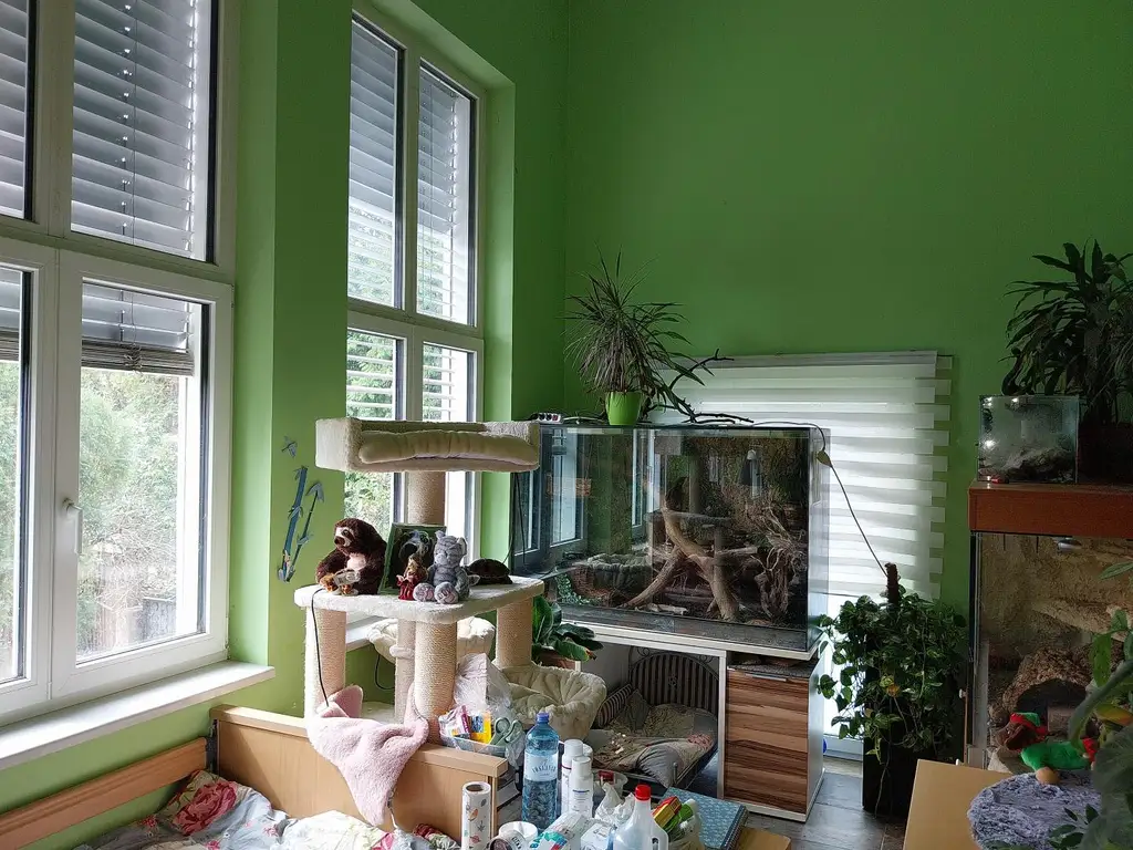 Ihr Traumhaus in Würmla - Wohnen mit Stil und Herz