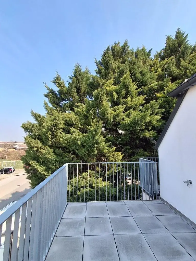 16 Terrassengrünblick 1220